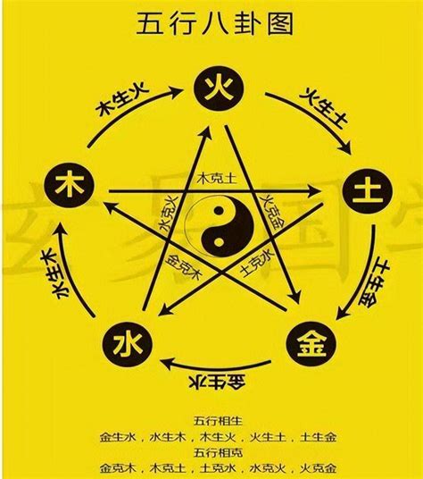 东方属木|探秘五行学说：木元素的意象与独特属性